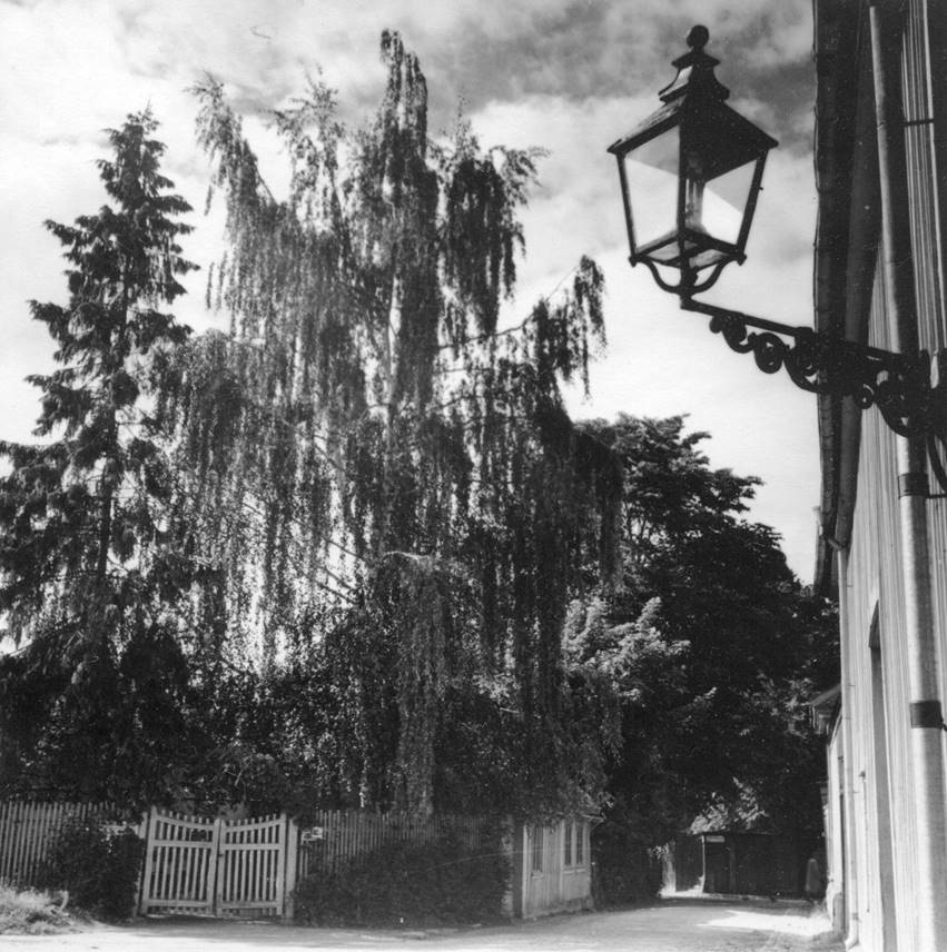 Lotsgrand1951